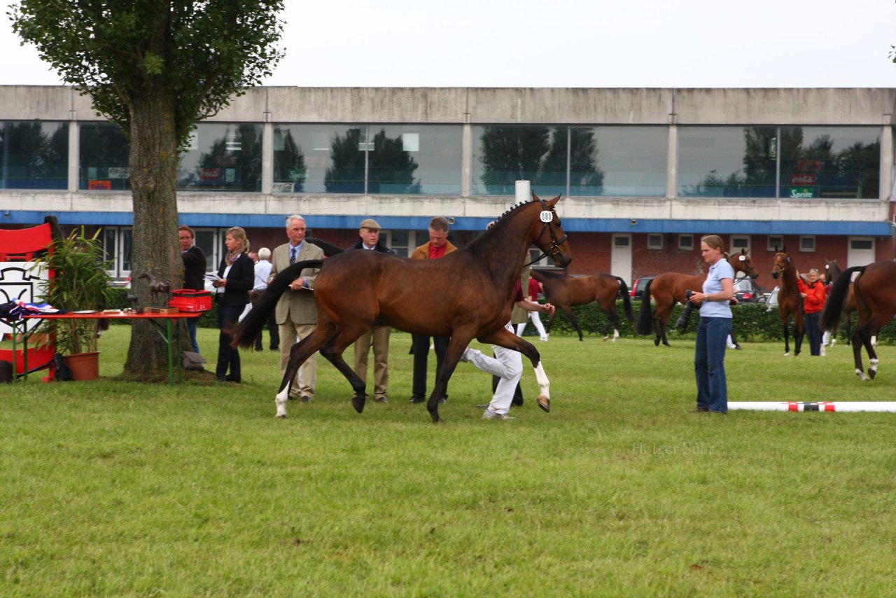 Bild 128 - Elmshorn am 9.6.10